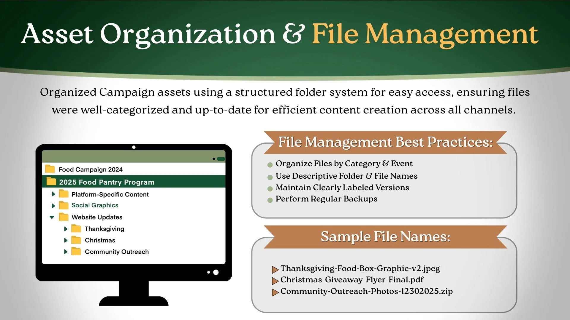Asset Organization & File Management