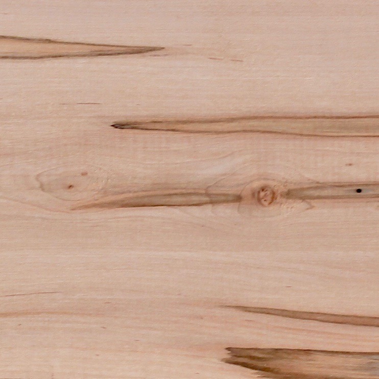 Ambrosia Maple