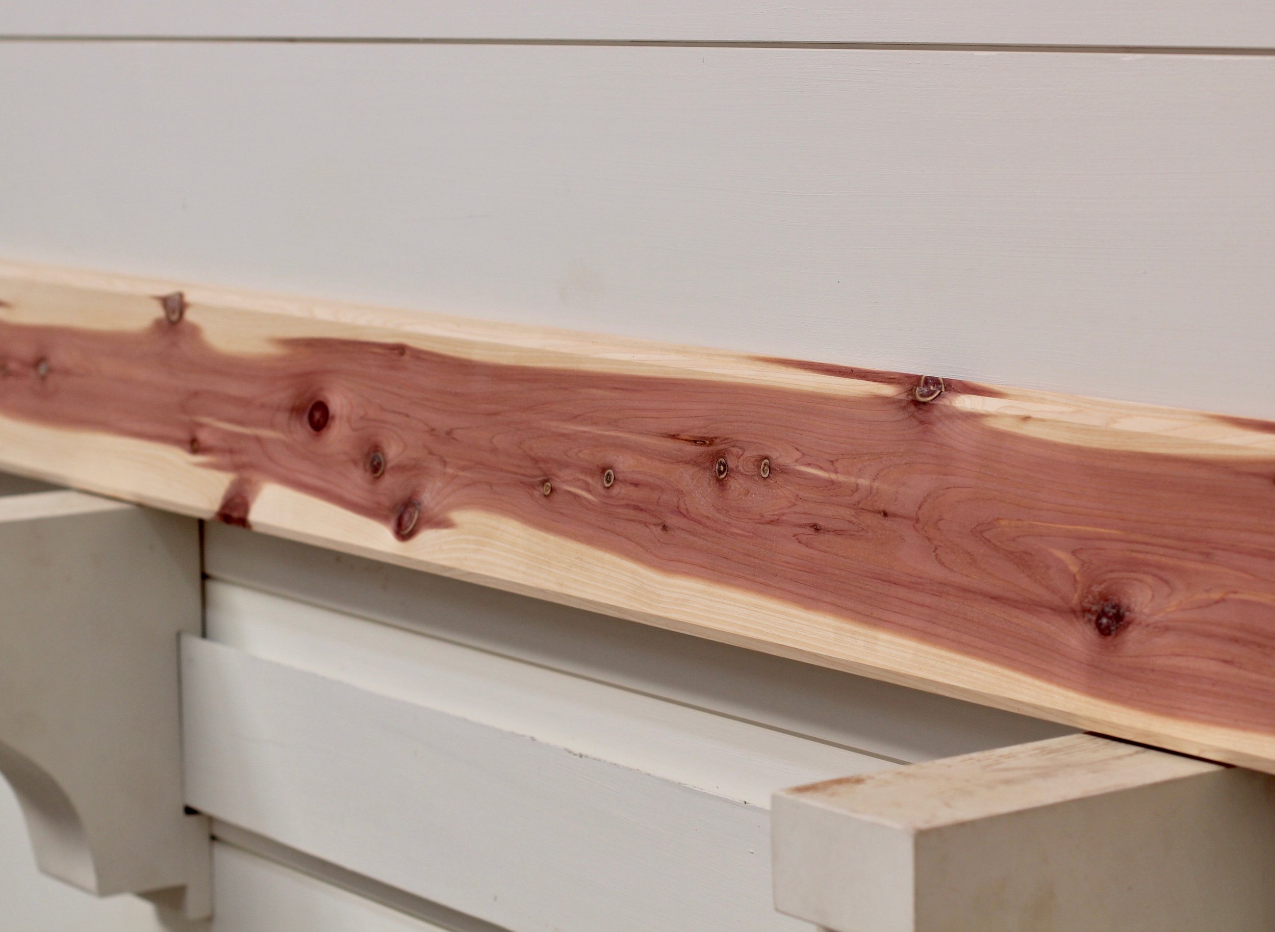 Eastern Red Cedar