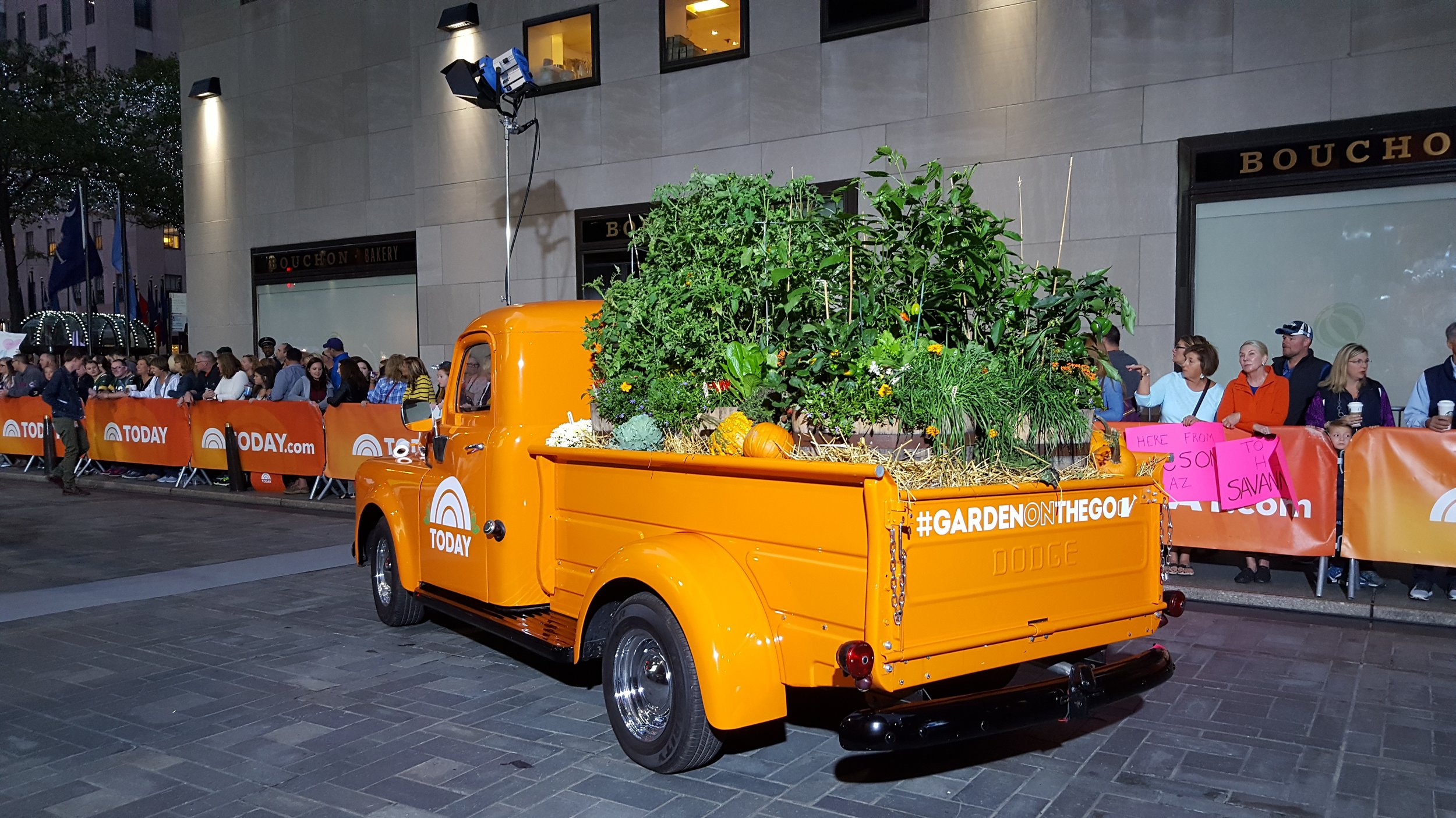Edible Garden created for First Lady Michelle Obama