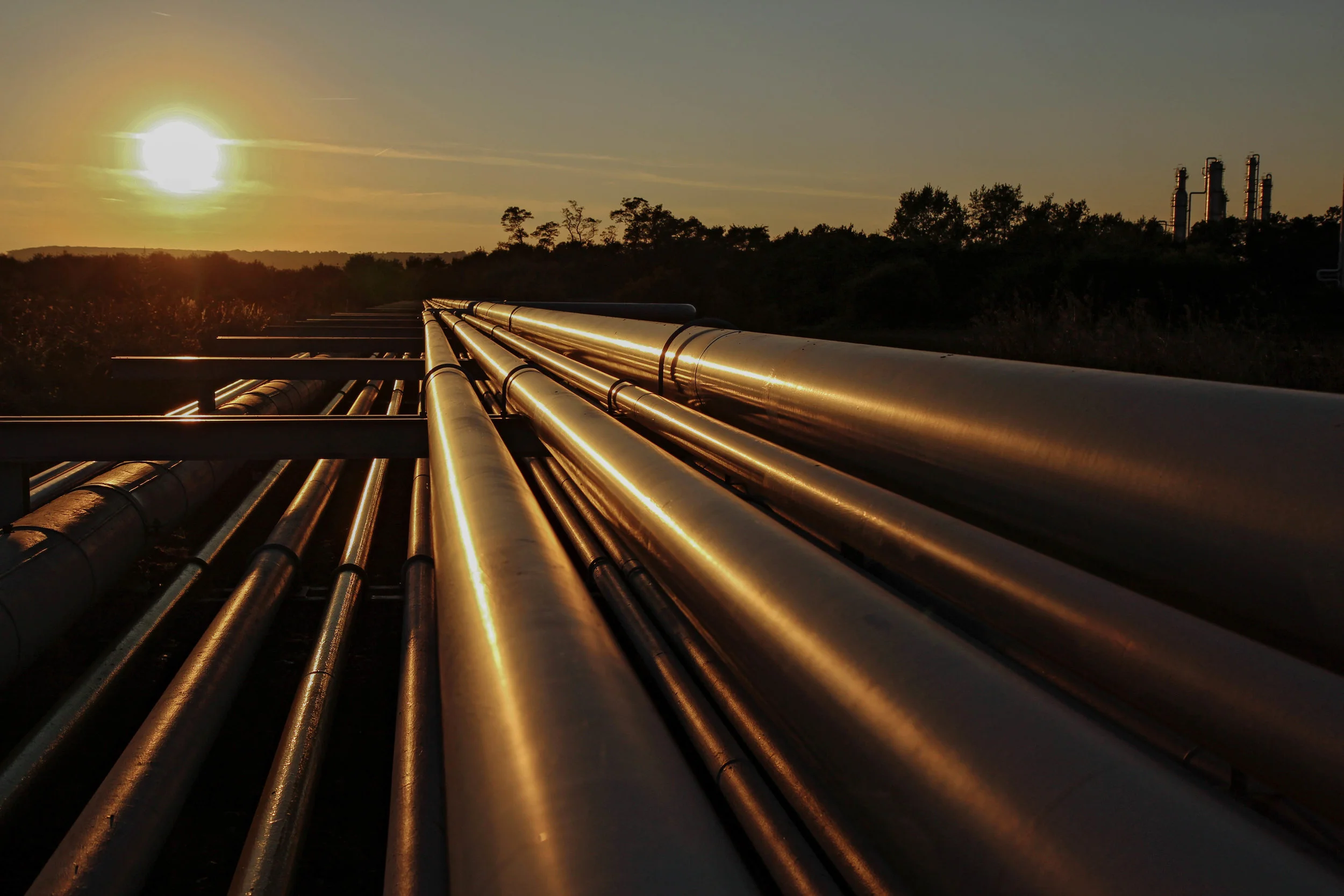 Services Page Banner - Edited.jpg