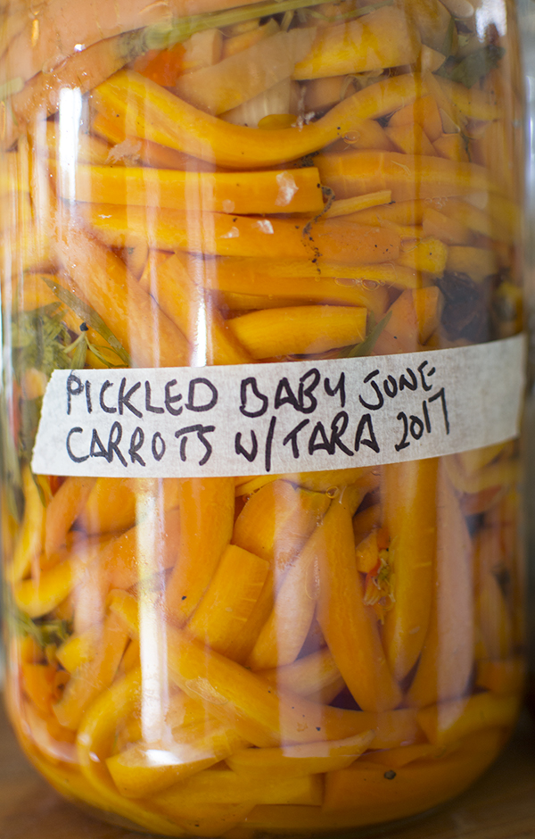 Preserved carrots for a winter wedding