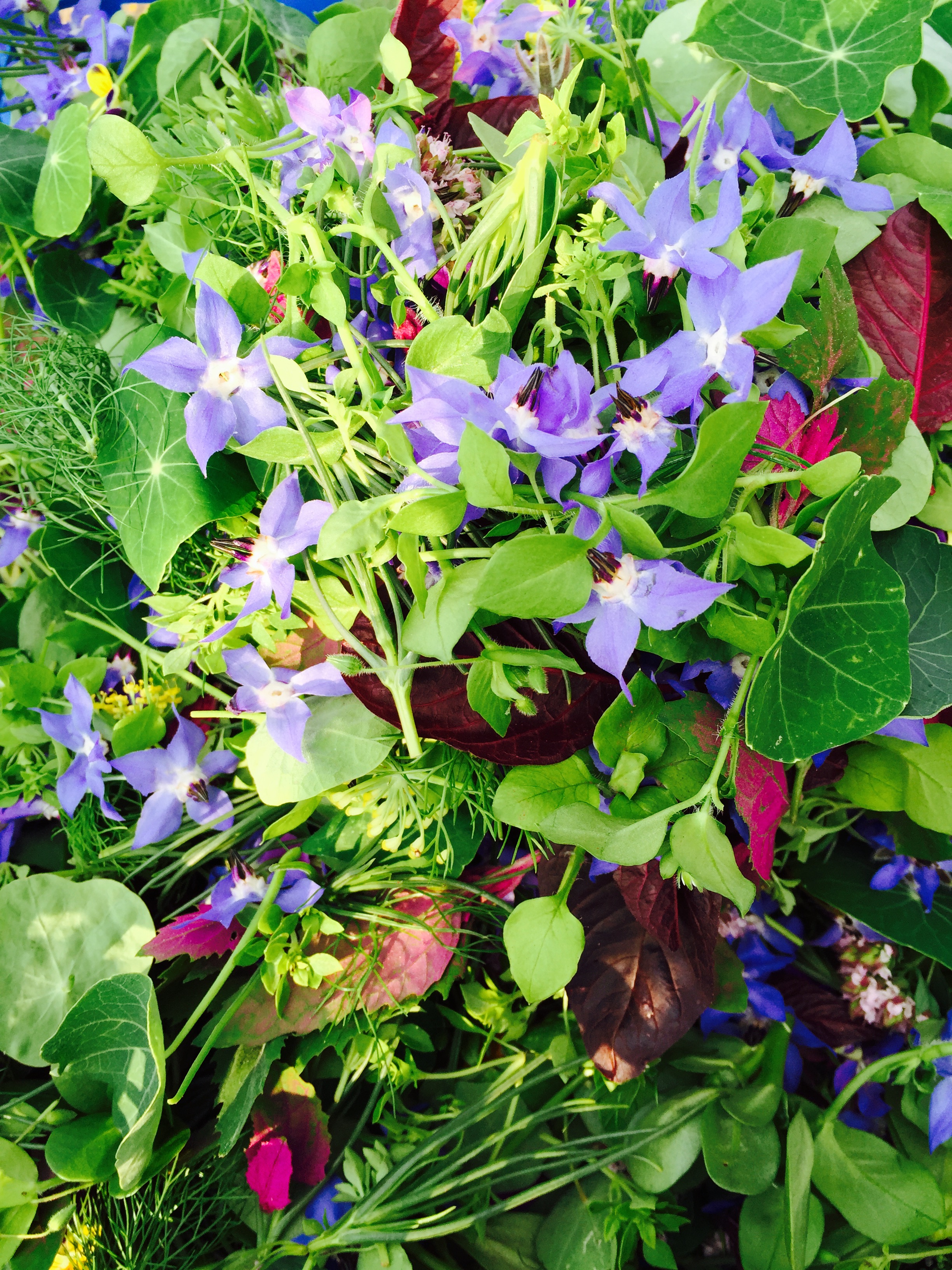 Salad - flowers.jpg