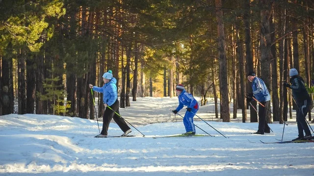 Xcountry skiing.jpeg
