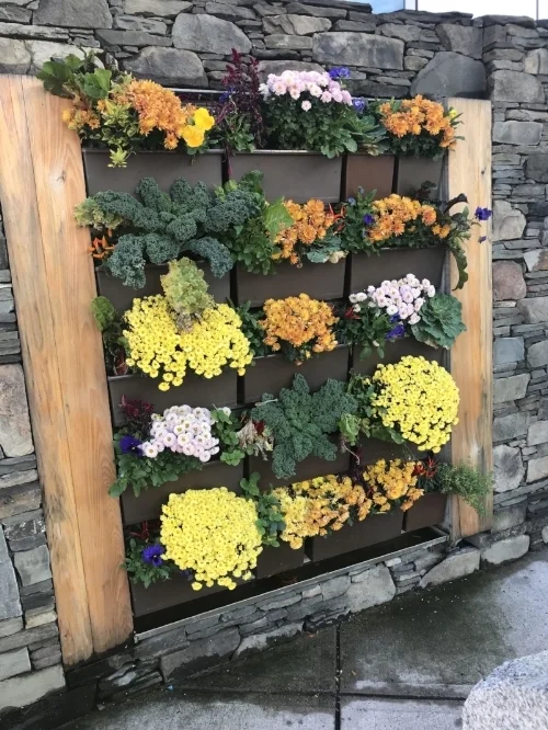 flowerwall.jpg