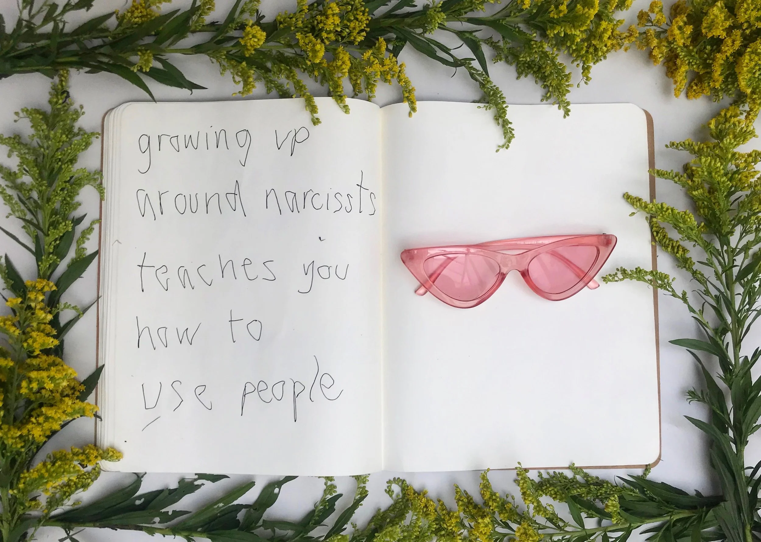  femanifestos/  echo ii  / 2018 