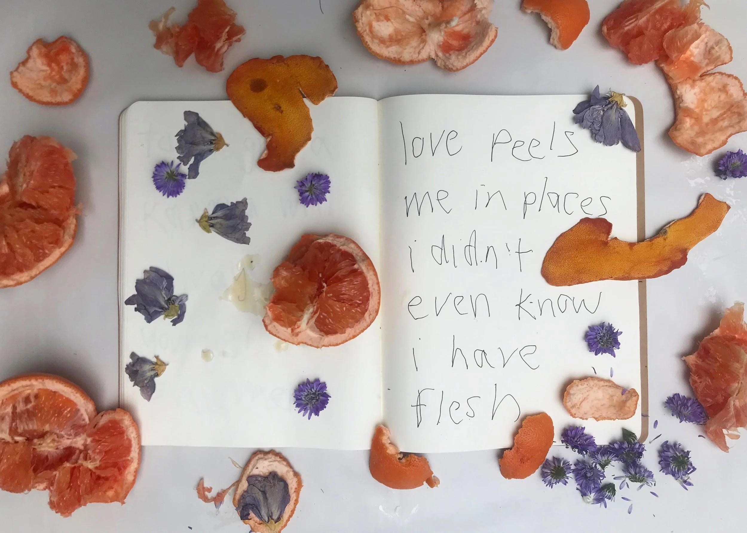  femanifestos/  peeled  / 2018 