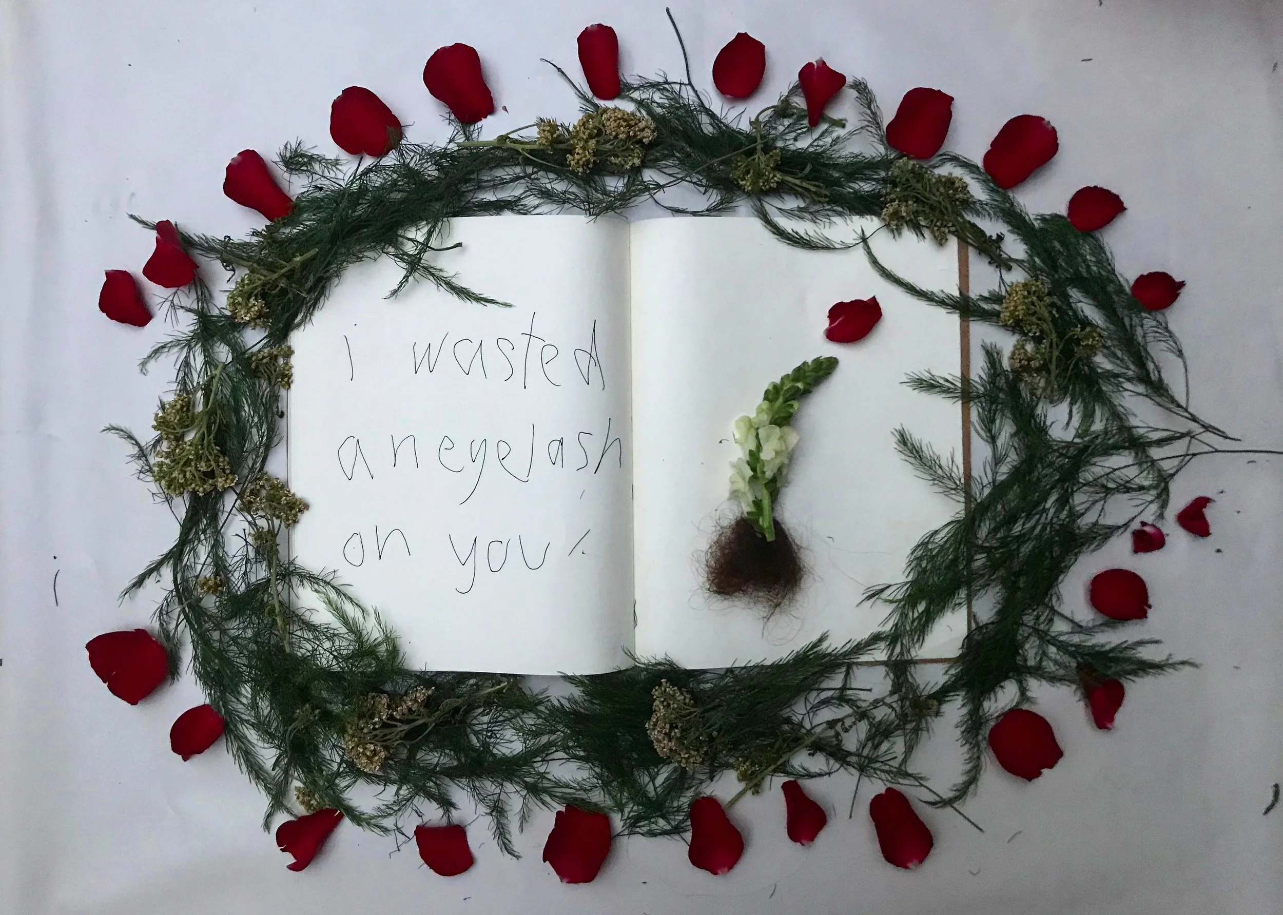  femanifestos/  mis-wished  / 2018 