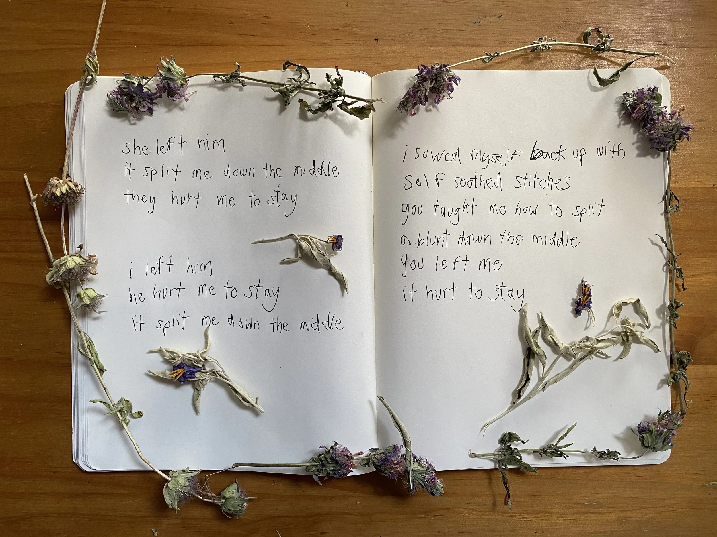  3 birds 1 split, 2020 