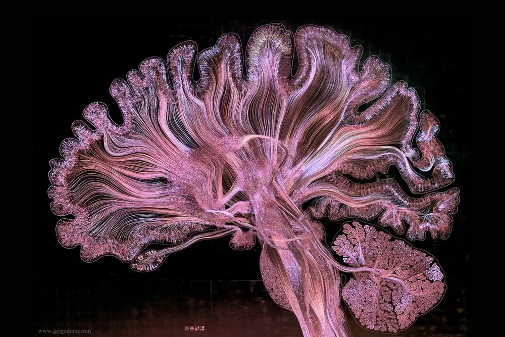    Methods and skills    Study design and large-scale museum visitor studies  Mobile eye tracking (Pupil Labs) and fNIRS hyperscanning  R and Python: linear mixed-effects models, latent profile analysis, qualitative coding and basic computational psy