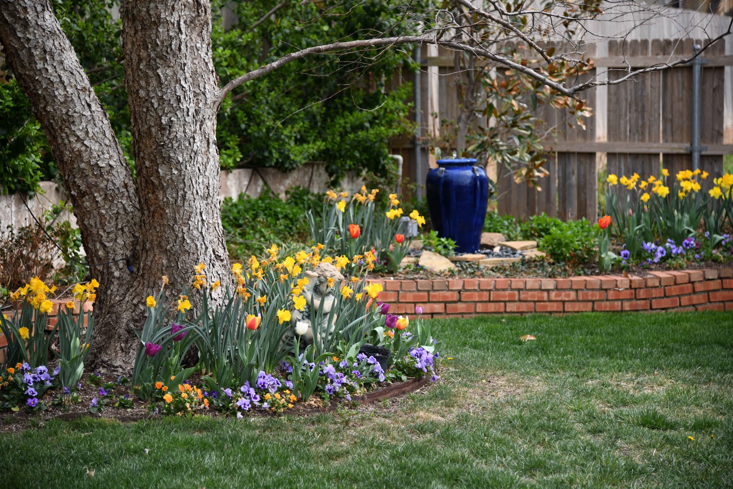 Murphy Landscaping Lawns By Murphy Oklahoma City Murphy Products Terra Xtreme Compost And Soil