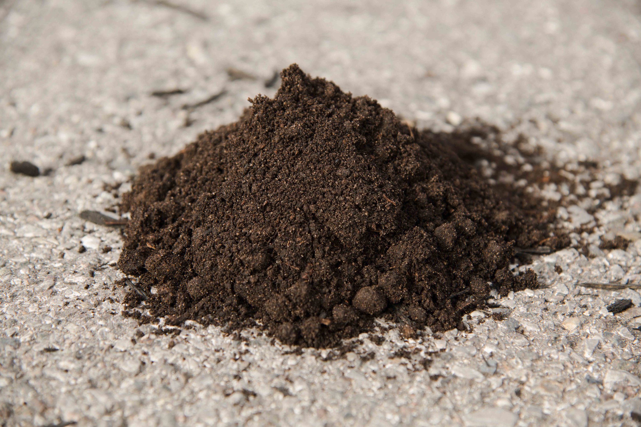 Alfalfa Manure_Compressed.jpg