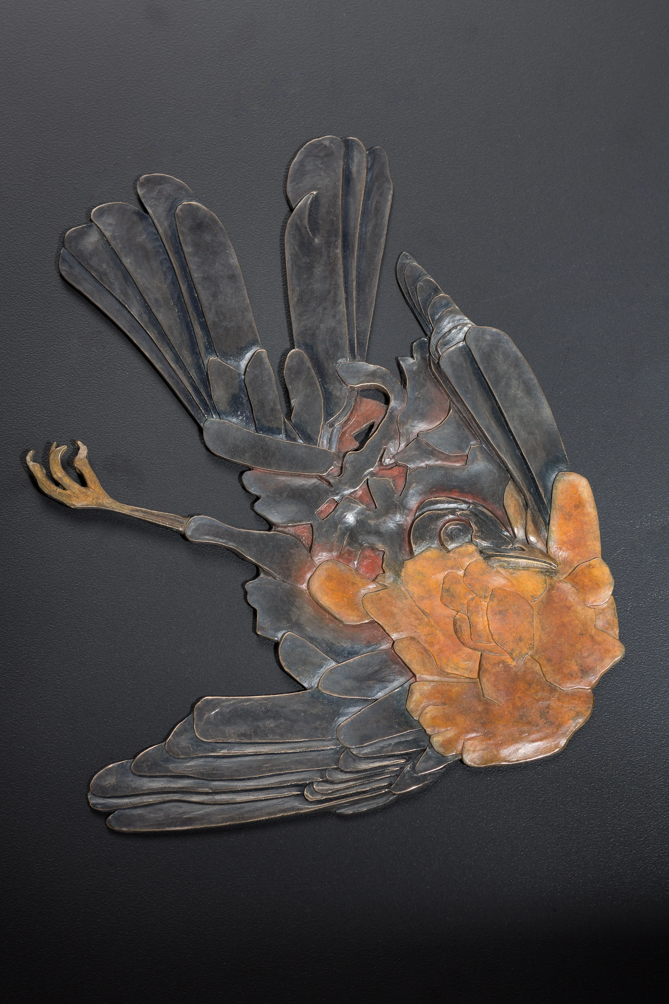 Robin (Road Scholar Series)