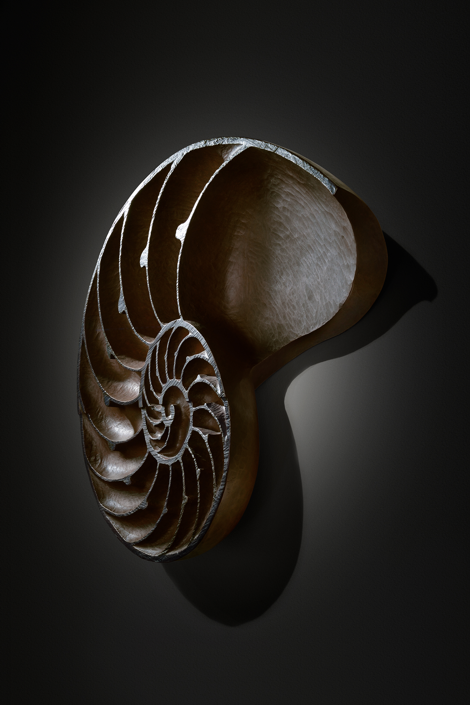 Nautilus