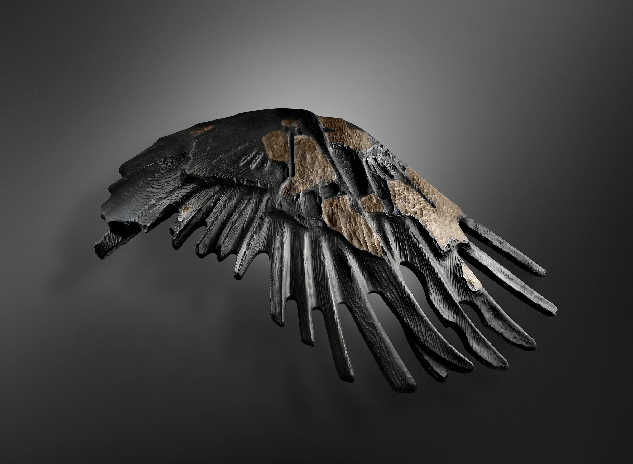 Flight (After Muybridge)