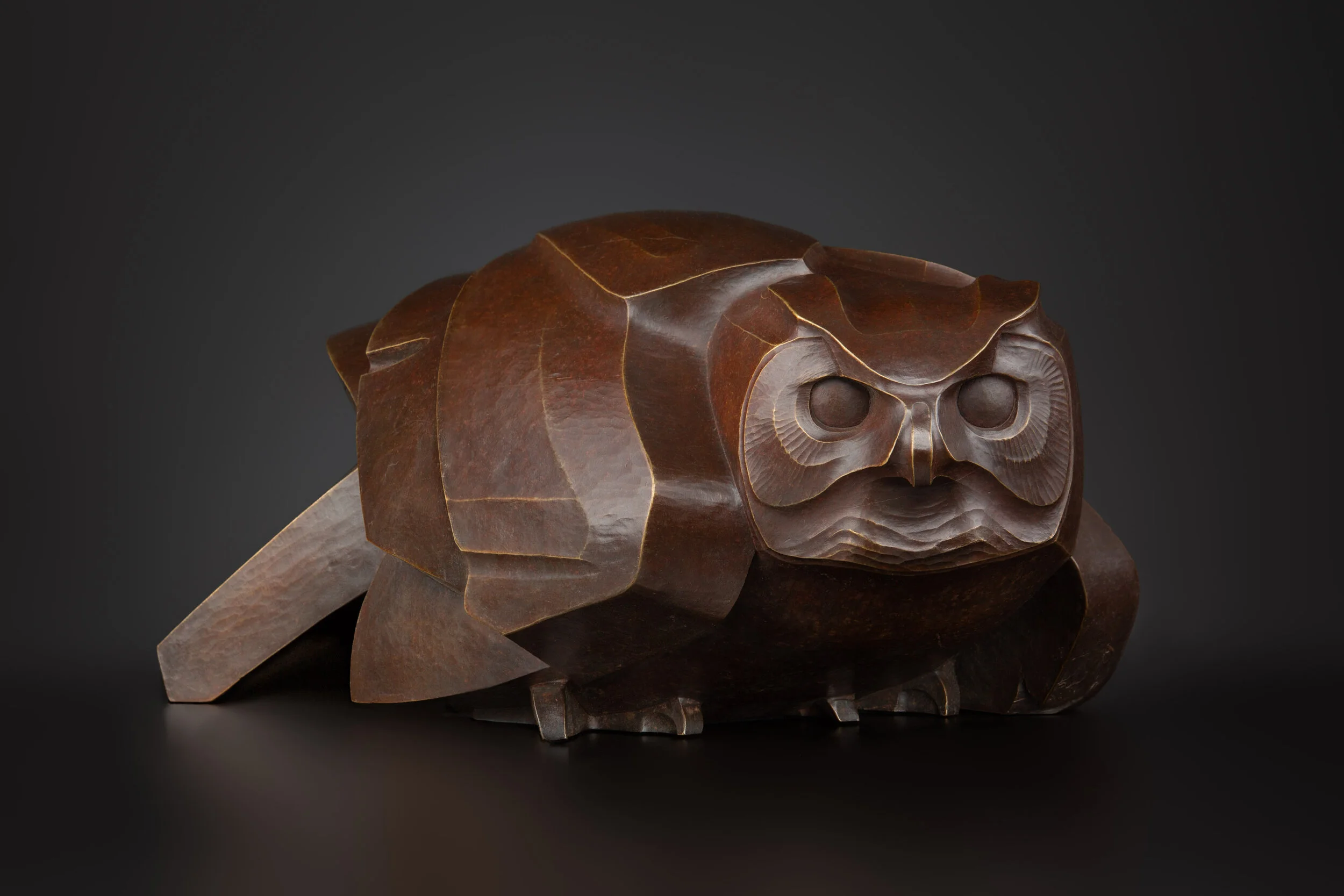 After the Broken Wing