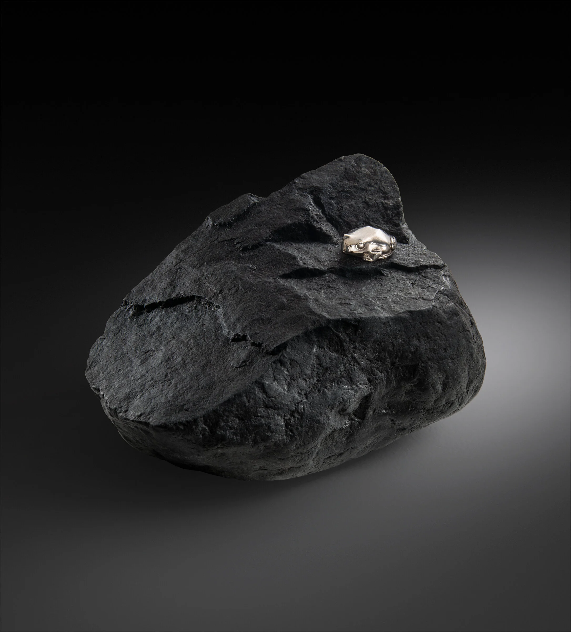 Silver-Frog.jpg