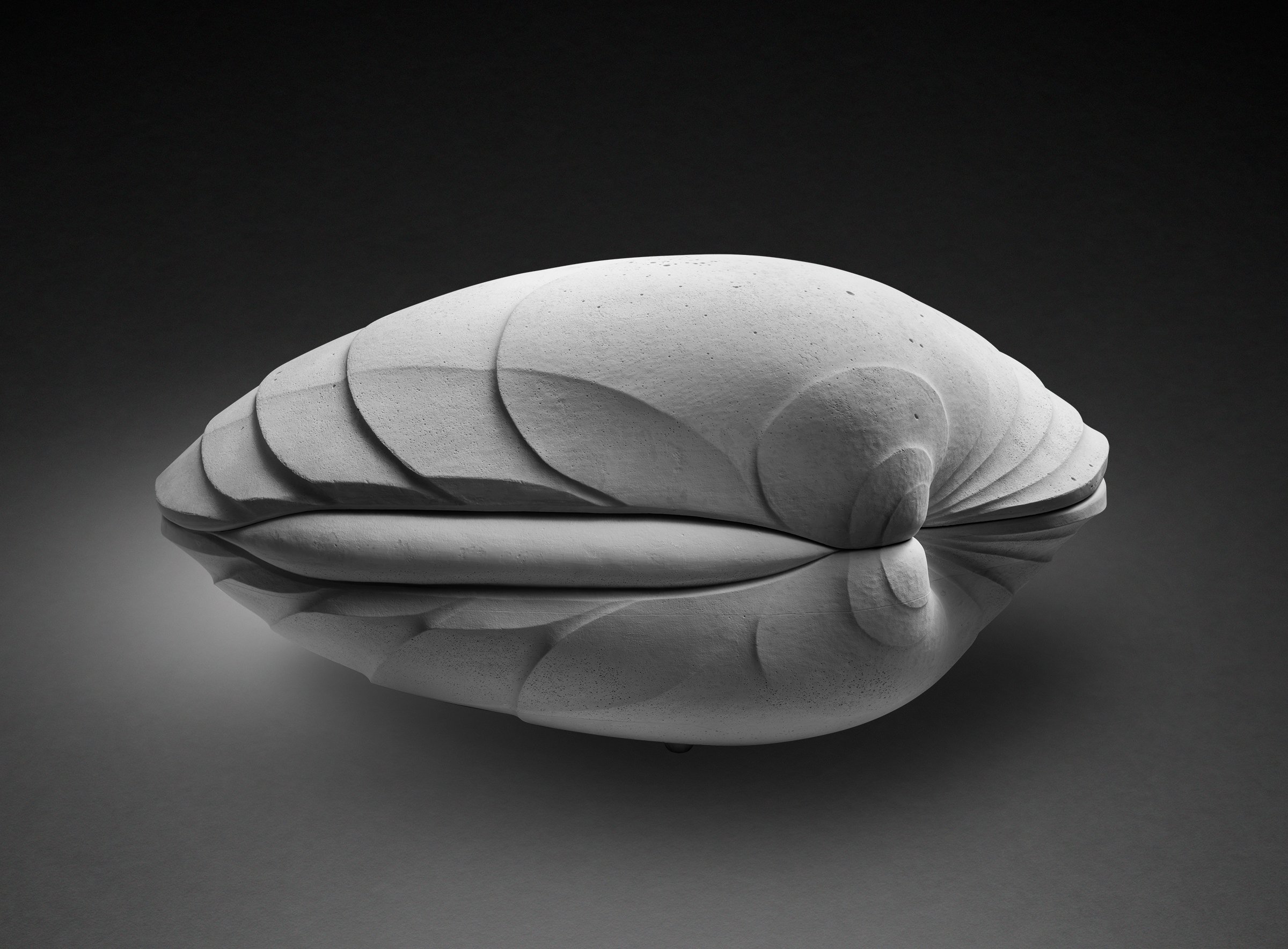 Large-BiValve-1v-v2.jpg