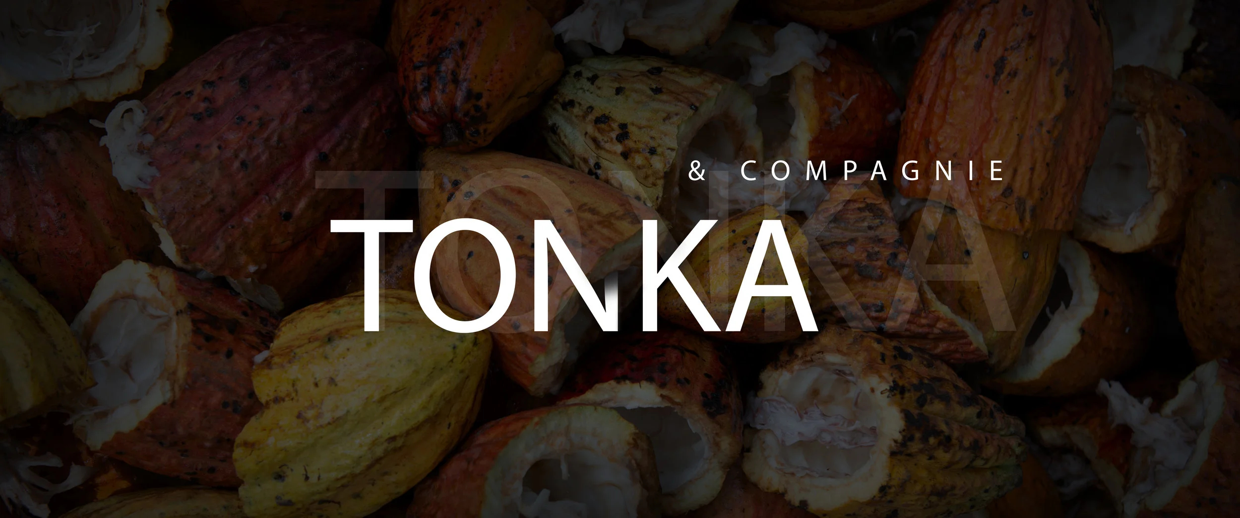 1ca02_Tonka_header.jpg