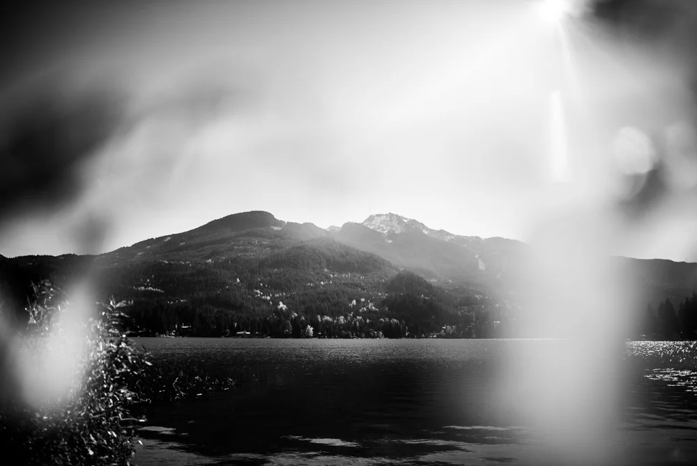 _DSC0050.jpg