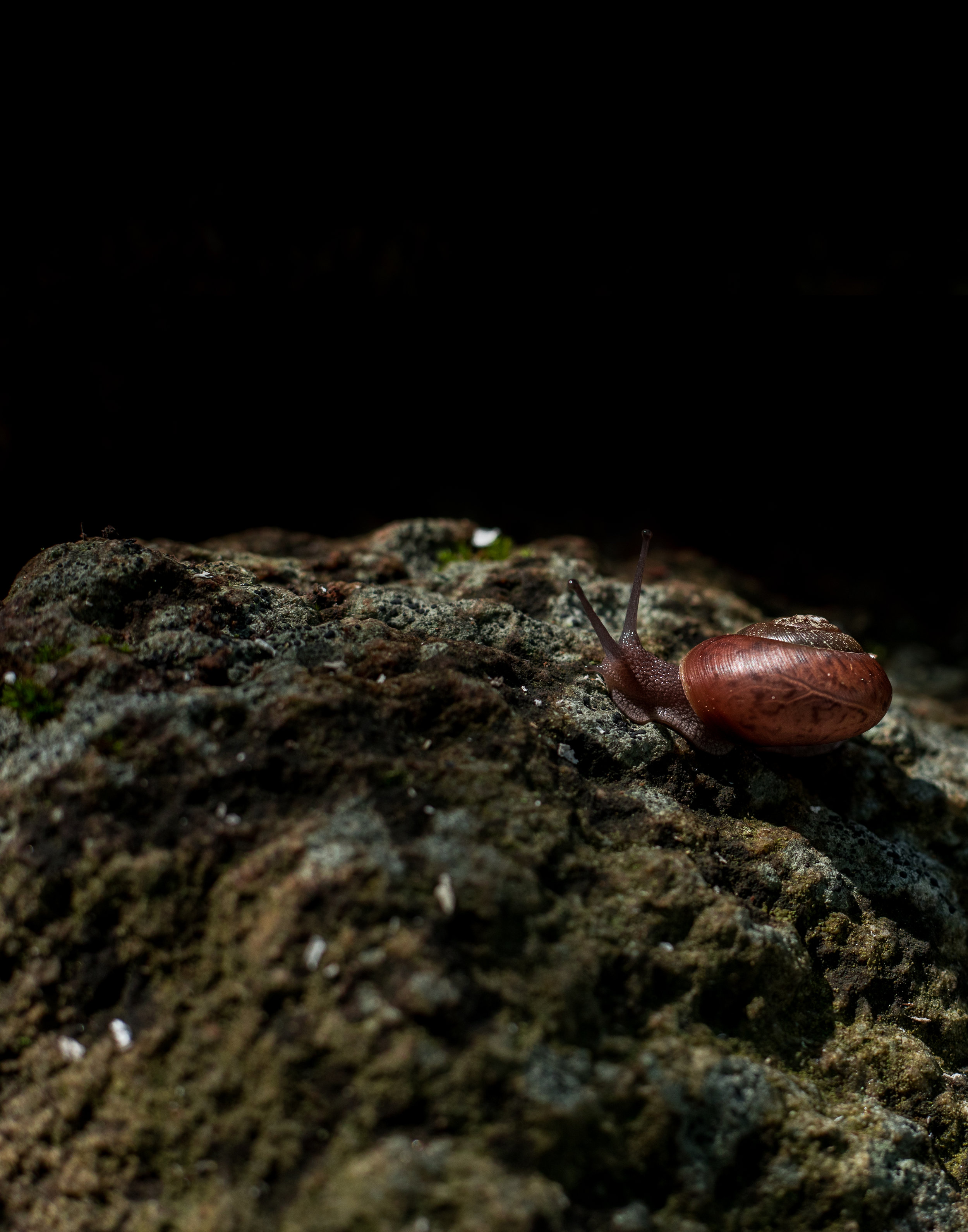 2L6A4140-Edit.jpg