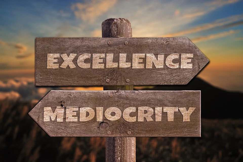Excellence: What It Takes