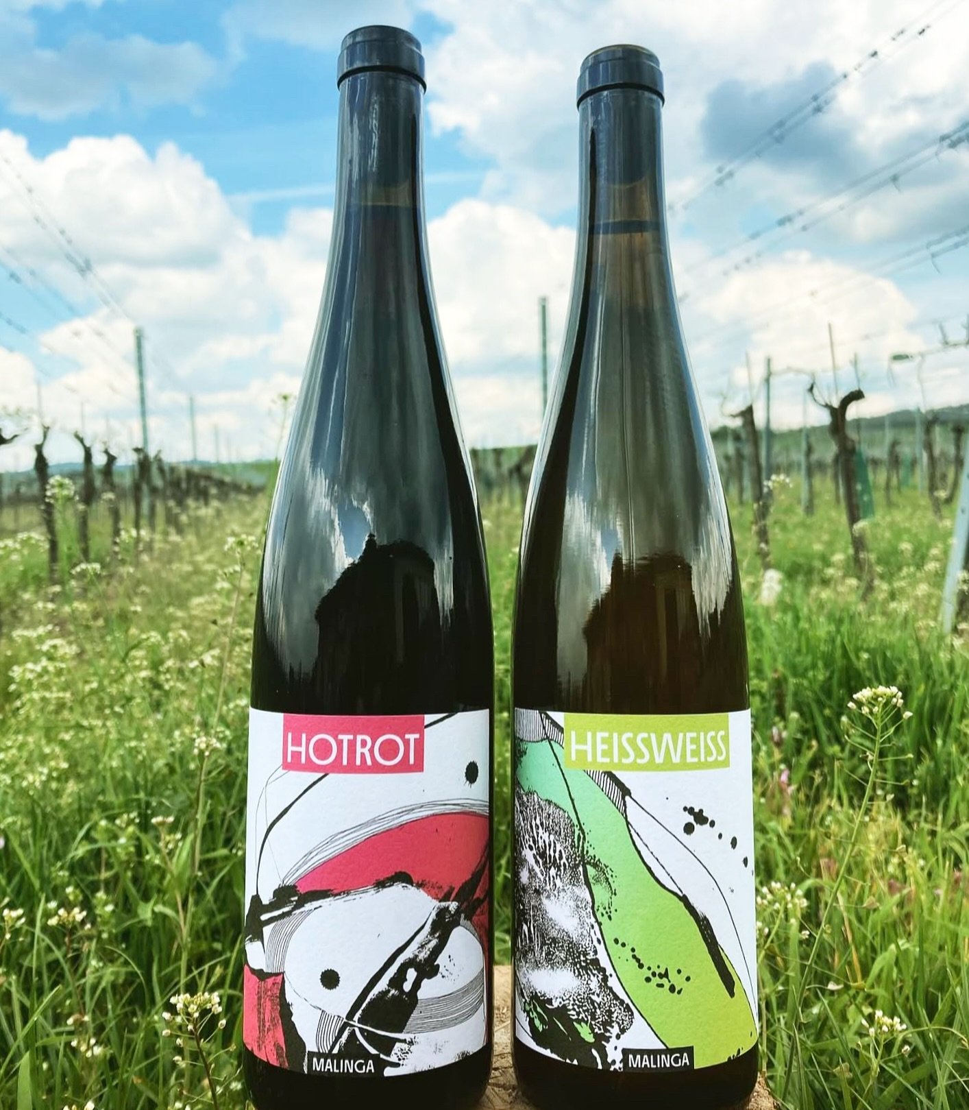MALINGA 🇦🇹
Les canons @malinga._.wines sont arriv&eacute;s au Qu&eacute;bec !
Christoph Heiss fait partie de la nouvelle g&eacute;n&eacute;ration qui bouscule les codes dans la r&eacute;gion du Kamptal en Autriche. Ses vins font de longues fermenta