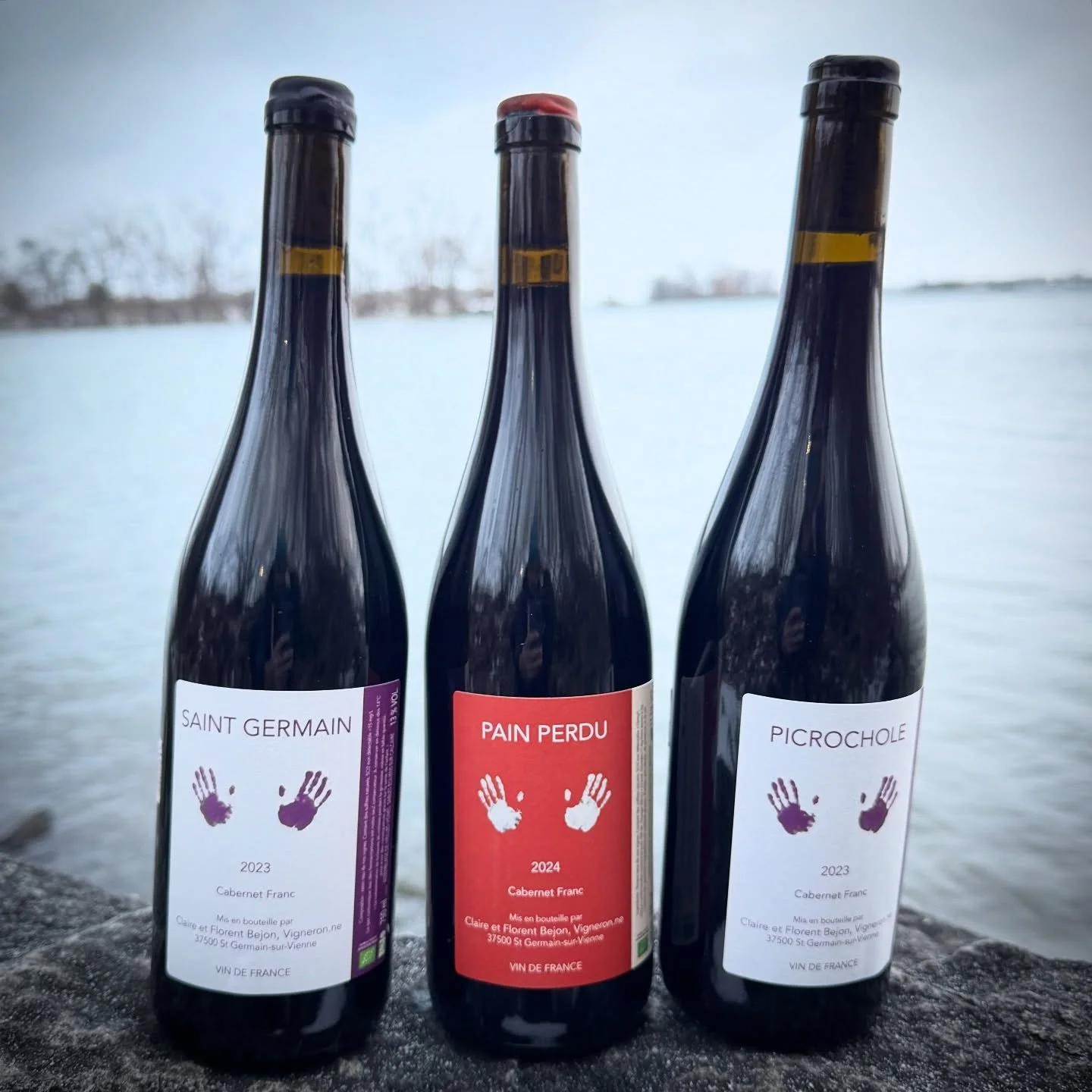 CLAIRE ET FLORENT BEJON
Les magnifiques vins de Claire et Florent Bejon sont arriv&eacute;s au Qu&eacute;bec.
Claire et Florent sont install&eacute;s &agrave; St Germain-sur-Vienne, village situ&eacute; &agrave; l&rsquo;ouest de Chinon.
Ils r&eacute;