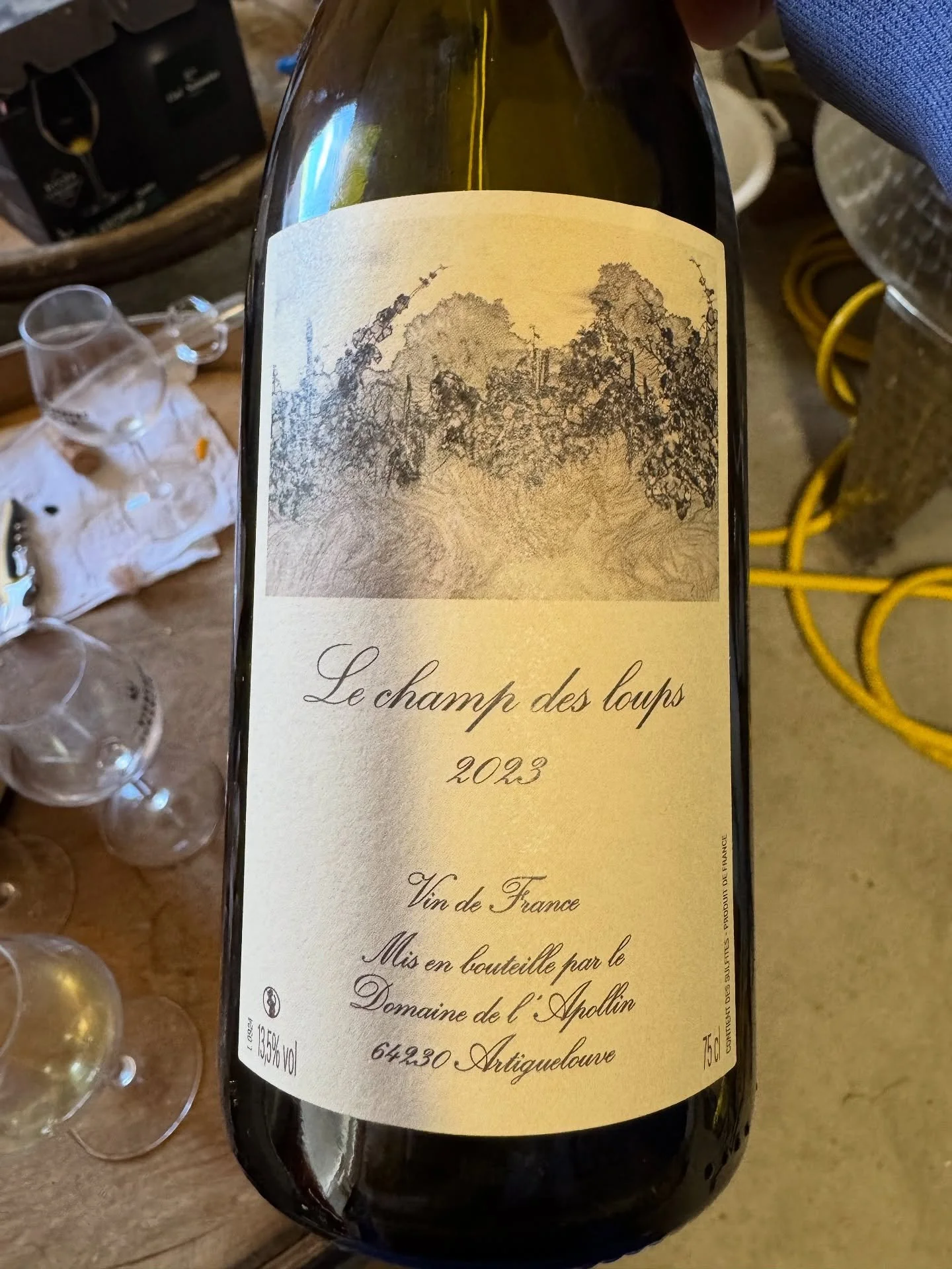 DOMAINE DE l&rsquo;APOLLIN 
J&rsquo;ai rencontr&eacute; Florent Foury en Avril&rsquo;25. Il fait du vin &agrave; Artiguelouve au piedmont des Pyr&eacute;n&eacute;es. La place est superbe et on peut voir ces montagnes magnifiques enneig&eacute;es qui 