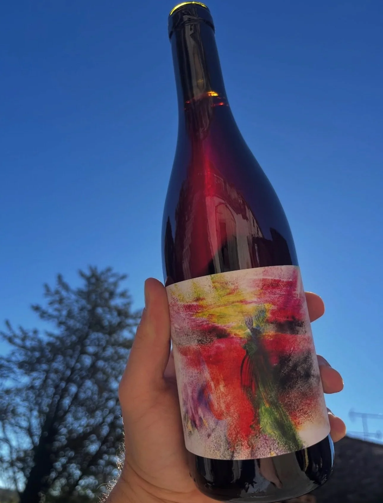 IN&Eacute;BRIATI 🇫🇷
Les canons &agrave; Victor Beau @domaine_inebriati sont arriv&eacute;s au Qu&eacute;bec ! 
Victor est install&eacute; dans la partie la plus au nord de l&rsquo;appellation Pic St Loup dans le Languedoc. 

Il poss&egrave;de 5 hec