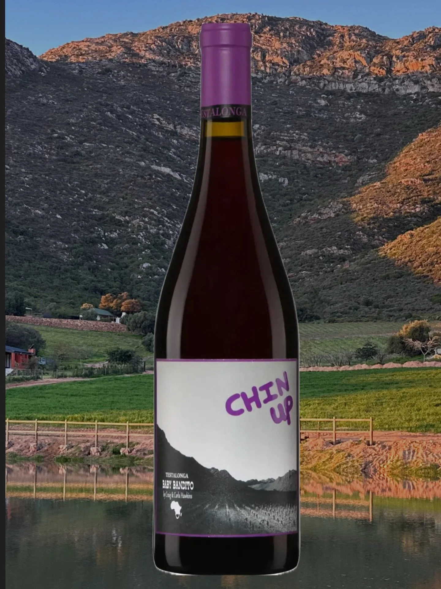 CHIN UP&rsquo;25 Dispo sur SAQ.com 
Cinsault- Un canon parfum&eacute;, subtil, 100% Glou-Glou &agrave; 12% d&rsquo;alcool d&rsquo;une buvabilt&eacute; Poulsardesque.

Carla et Craig Hawkins font du vin en Afrique du Sud dans le Swartland, une r&eacut