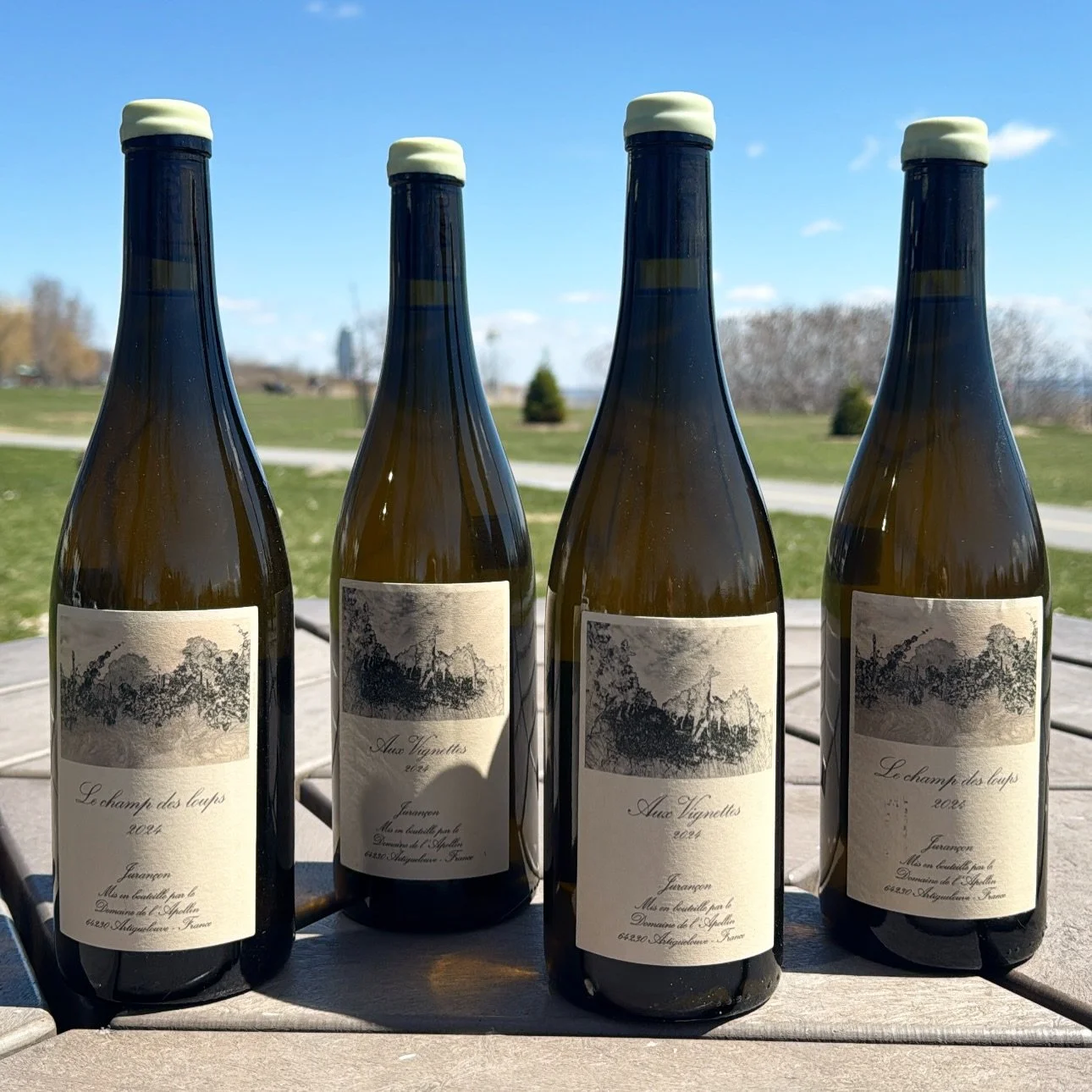 DOMAINE DE L&rsquo;APOLLIN
Les canons @domaine_de_l_apollin sont arriv&eacute;s au Qu&eacute;bec. 
Des quilles qui seront dispo bient&ocirc;t dans les restaurants. 
Merci Florent d&rsquo;envoyer ces canons exceptionnels vers  La Belle Province ⚜️
#do