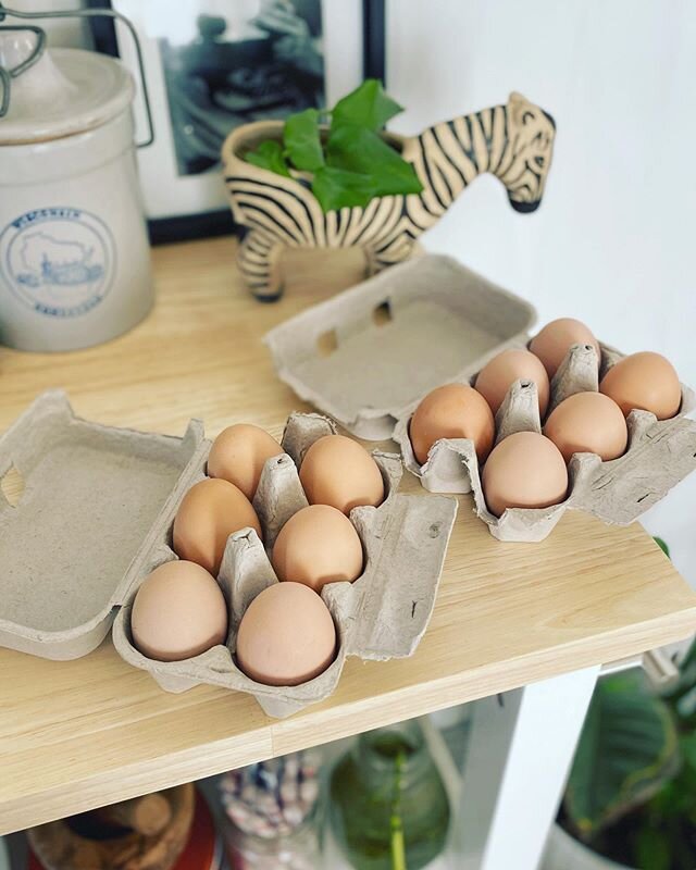 Fresh dozen eggs going to our neighbors for Easter. #happyquaraneaster #easter #homestead #eggs #fresheggs #callmechickenking
