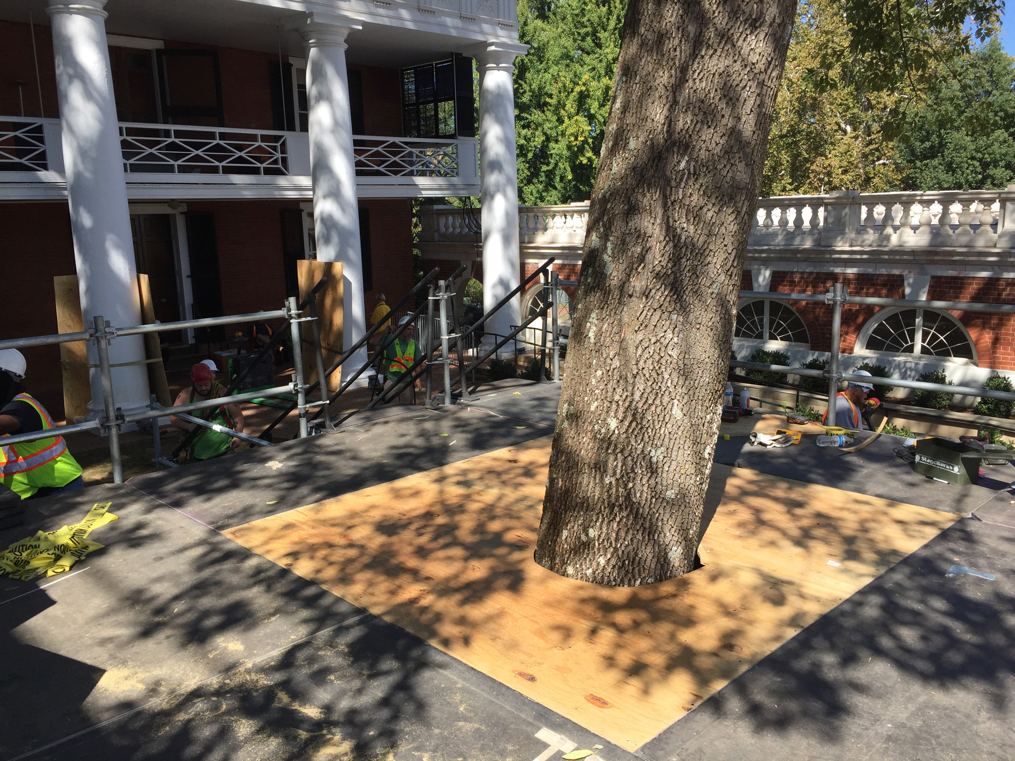 UVA Bicentennial - Stage wing built around tree