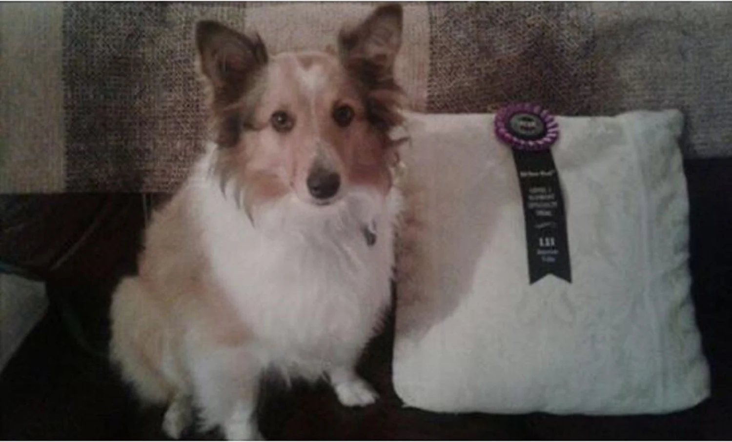 Level 1 Interiors (Element) Title - Linda and Carly