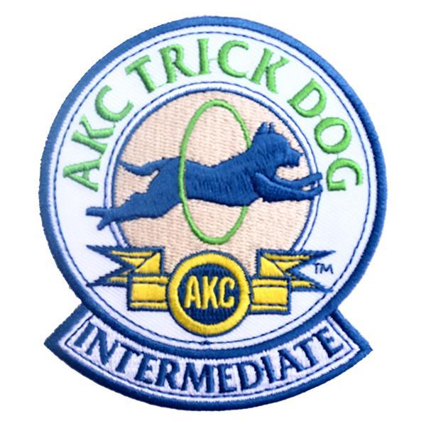 TrickDogIntermediatePatch.jpg
