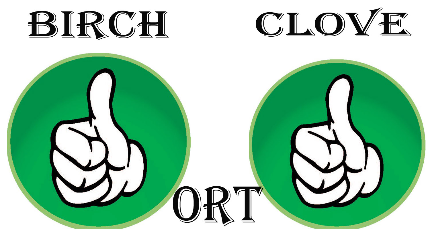 birch_clove_ort.jpg
