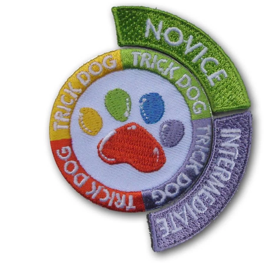 Intermediate Trick Dog TItle - Jennifer and Yukon