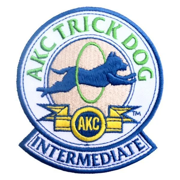 AKC Trick Dog Intermediate - Jennifer and Taser