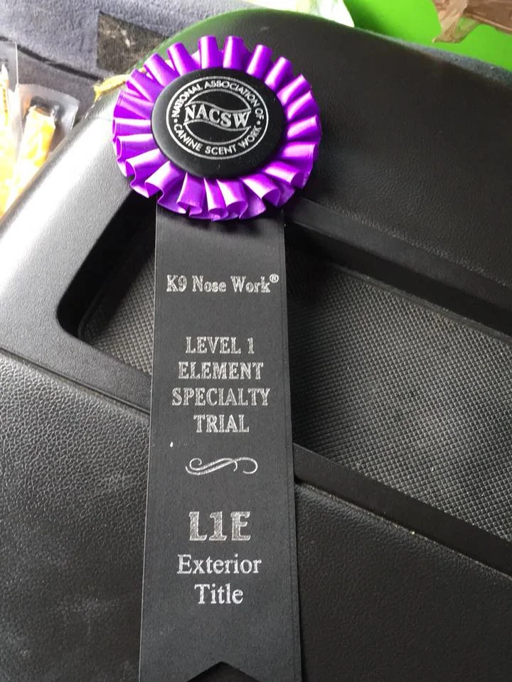 Level 1 Exteriors (Elements) & 1st Place Overall - Jennifer and Tito