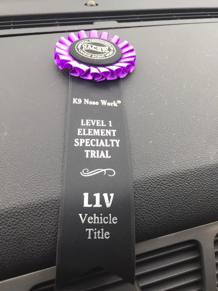 Level 1 Vehicles (Element) Title - Ron and Jade