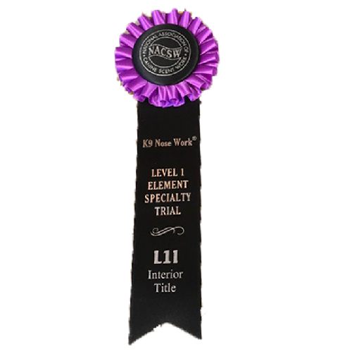 Barb and Ali - Level 1 Interior Elements Title