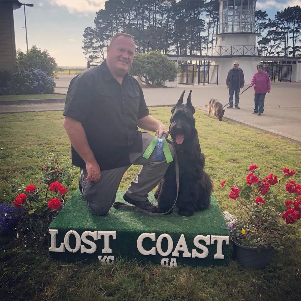 Wes and Sir Buffington - 1st Place Rally Novice and Intermediate Rally Qualifying Run