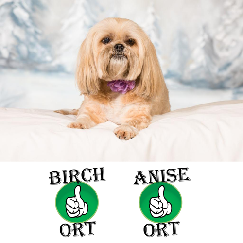 Troy and Lulu - Birch and Anise ORT