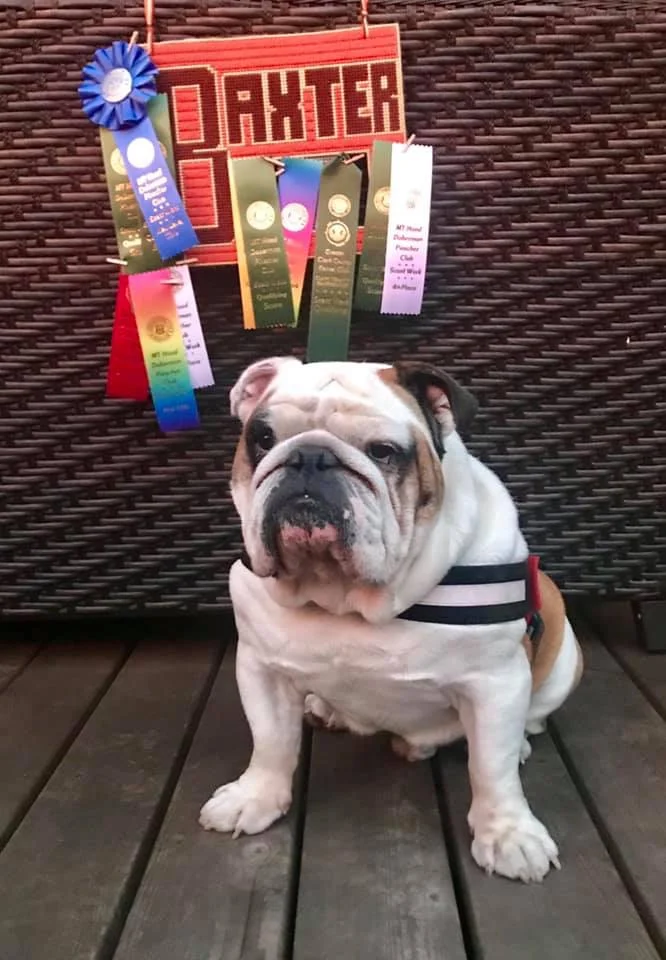 Krystal and Baxter - 3 New Titles &amp; More!