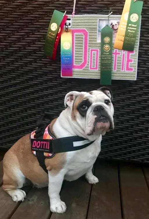 Krystal and Dottie - New Container Novice Title, 2nd &amp; 3rd Place!