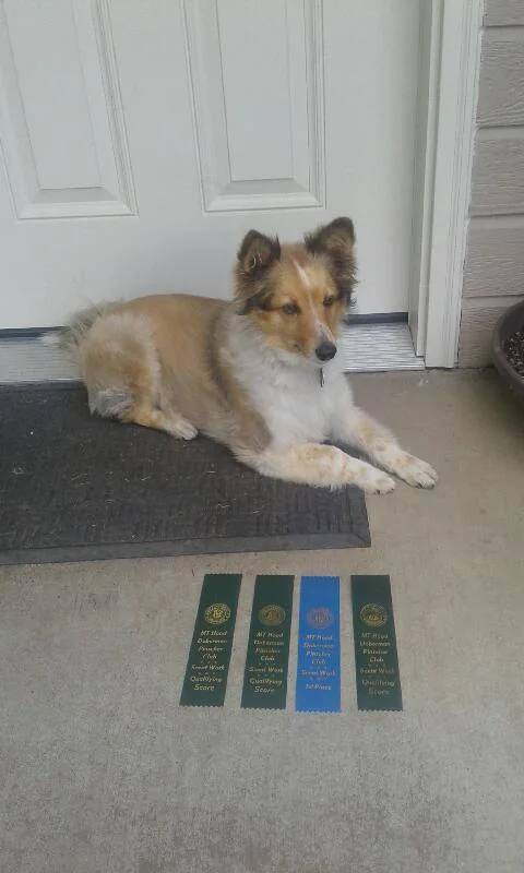 Linda and Carly - 3 Qualifying Runs; 1st place and 2nd Place!