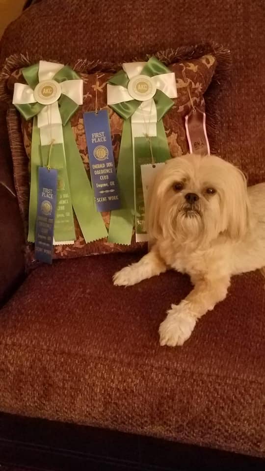 Troy and Lulu - Interior Novice Title, Exterior Novice , and 1st Place