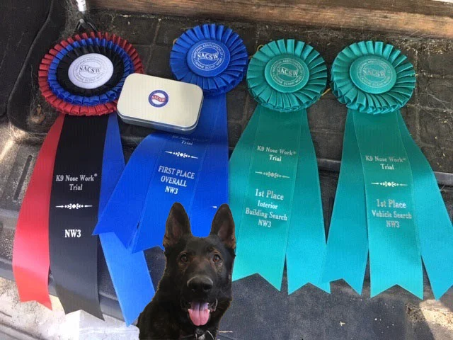 Jennifer and Tito - NW3, High in Trial, 1st place in Exteriors, 1st place in Vehicles