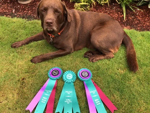 Terri and Timber - 1st place in NW3 Containers; NW3 Exteriors Title; NW3 Vehicles Title